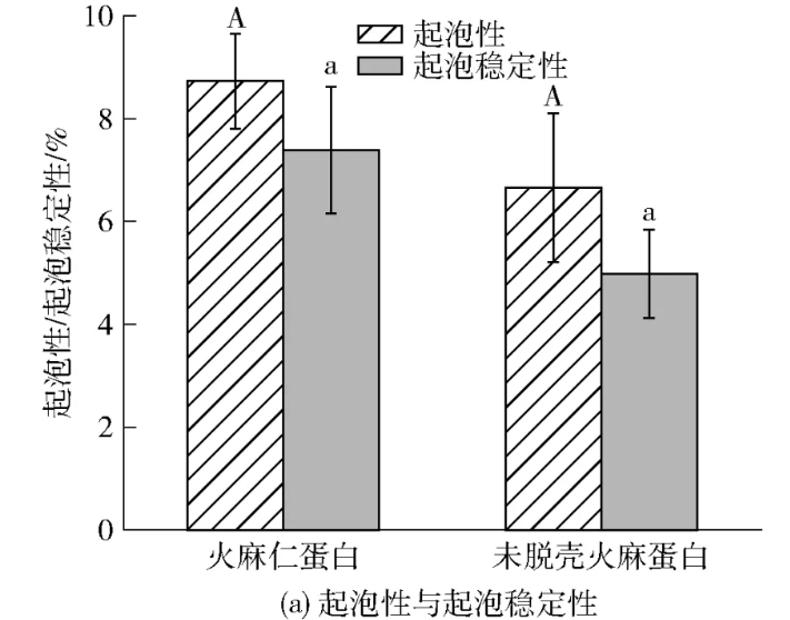 圖片17