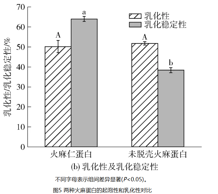 圖片18